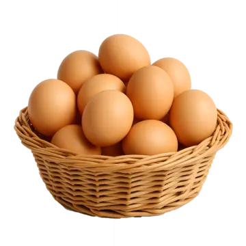 eggs 05