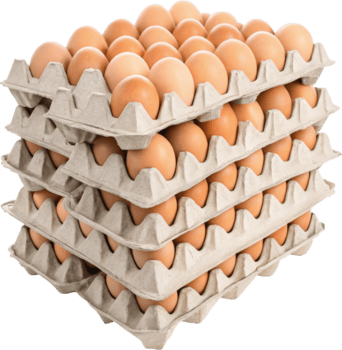 Why Should You Eat Eggs for Breakfast